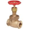 Globe Valves